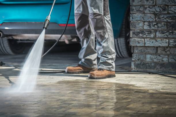 Best Dumpster Area Cleaning  in West Salem, OH